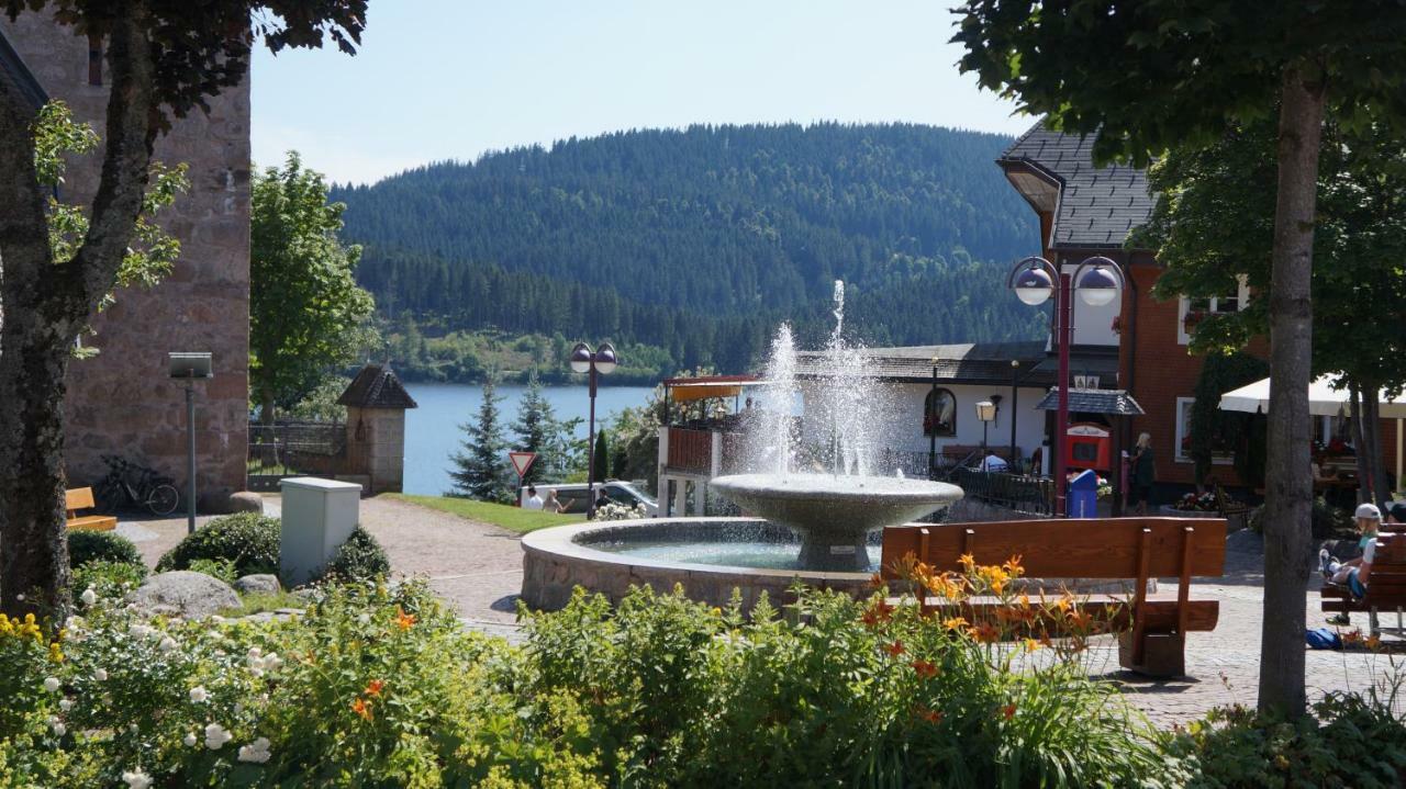 Waldblick Apartment Schluchsee Exterior foto